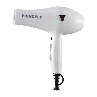 سشوار پرنسلی مدل PR249AT